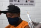 Explainer: how South Africa regulates medicines and vaccines